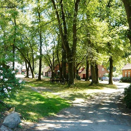 Ferienpension Lindenhof - Ferienwohnungen In Der Lueneburger Heide Marxen am Berge Екстериор снимка