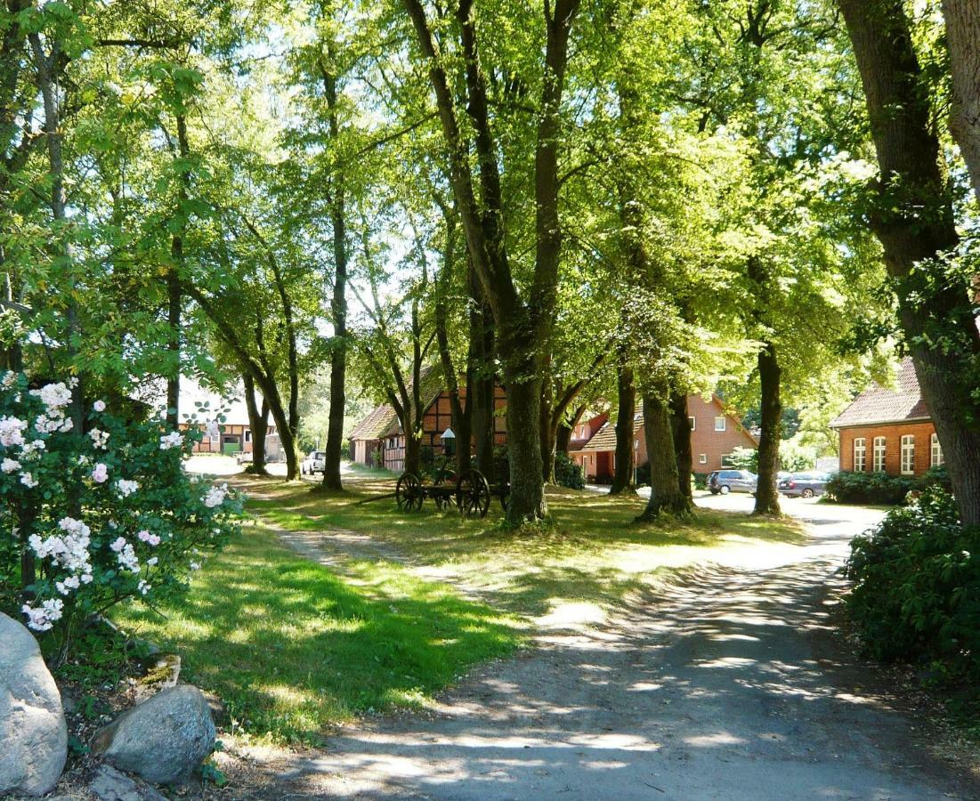 Ferienpension Lindenhof - Ferienwohnungen In Der Lueneburger Heide Marxen am Berge Екстериор снимка